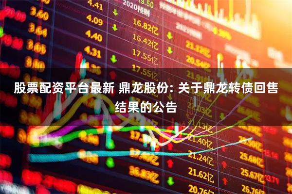 股票配资平台最新 鼎龙股份: 关于鼎龙转债回售结果的公告