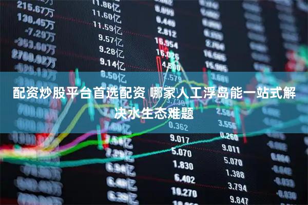 配资炒股平台首选配资 哪家人工浮岛能一站式解决水生态难题
